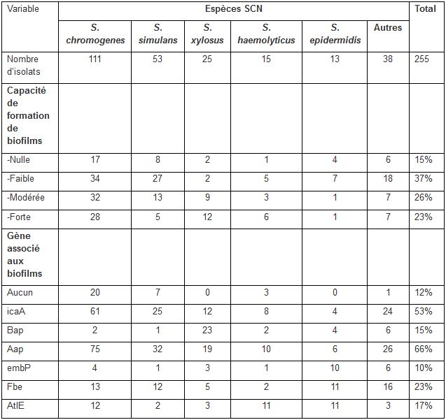 Tableau : Capacité de formation de biofilms selon les espèces de SCN et gènes associés aux biofilms détectés.