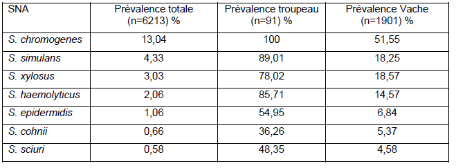 Tableau : Distribution des SNA isolés lors d’Infection intra-mammaire (avec une fréquence > 0.5%)
