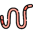 parasitisme