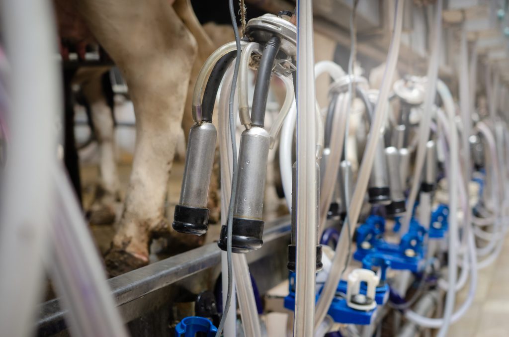 impact production laitière