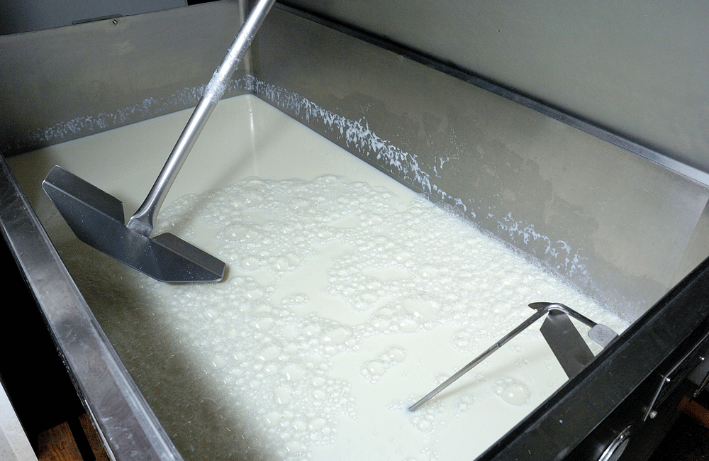 collecte_lait_tank