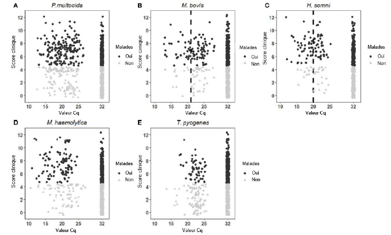 Distribution du score clinique avec la quantification qPCR 