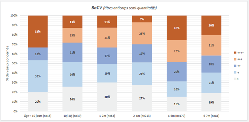 Distribution des titres Elisa IgG BCoV en fonction de l’âge des veaux aux moments de prélèvements