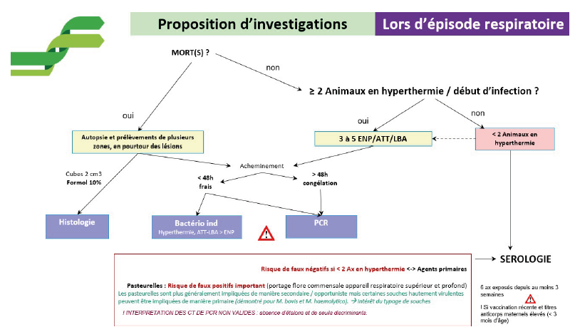 Proposition d’investigations en 1ère intention lors d’un épisode respiratoire associant des analyses directes et indirectes 