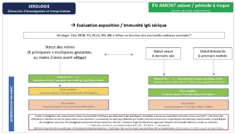 Proposition d’investigations sérologiques en amont d’une saison / période à risque, avant la survenue d’épisode respiratoire. 