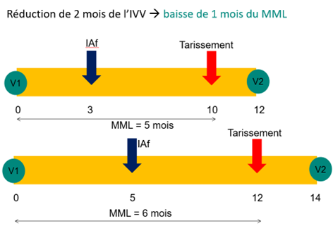 Relation entre Mois Moyen Laitier (MML) et Intervalle entre deux vêlages (IVV).